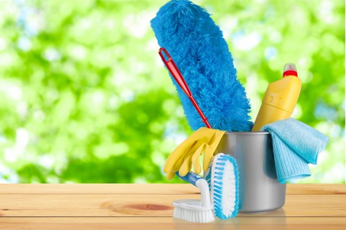 Professional carpet cleaner working in a Richmond upon Thames home