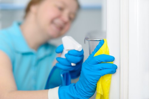 Professional carpet cleaning in a Richmond upon Thames home