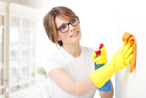 Professional cleaning company in Richmonduponthames service for homes