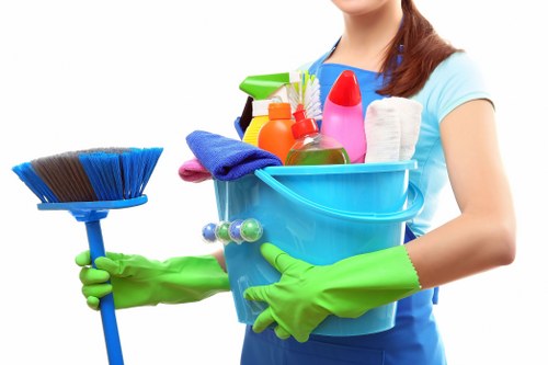 Experienced cleaners sanitising a modern property in Richmond upon Thames